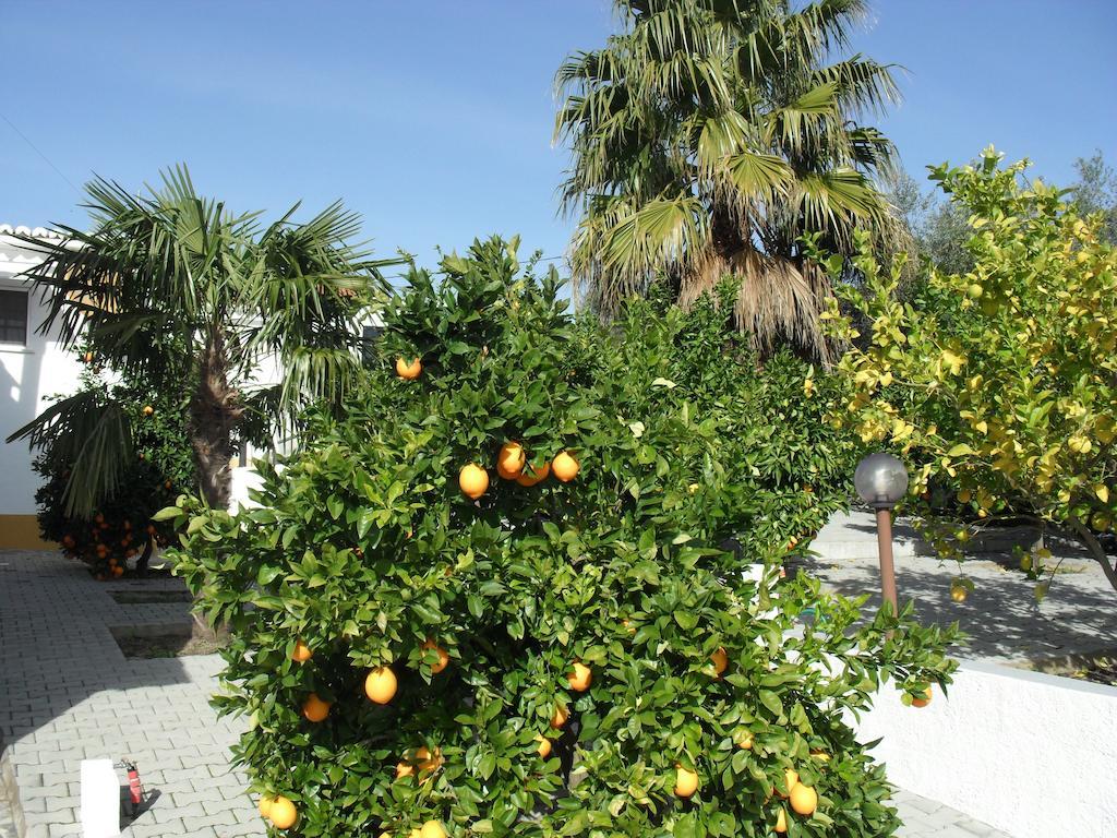 فيلا ريغينغوس دي مونسارازفي Casa De Campo Quinta Sao Jorge المظهر الخارجي الصورة